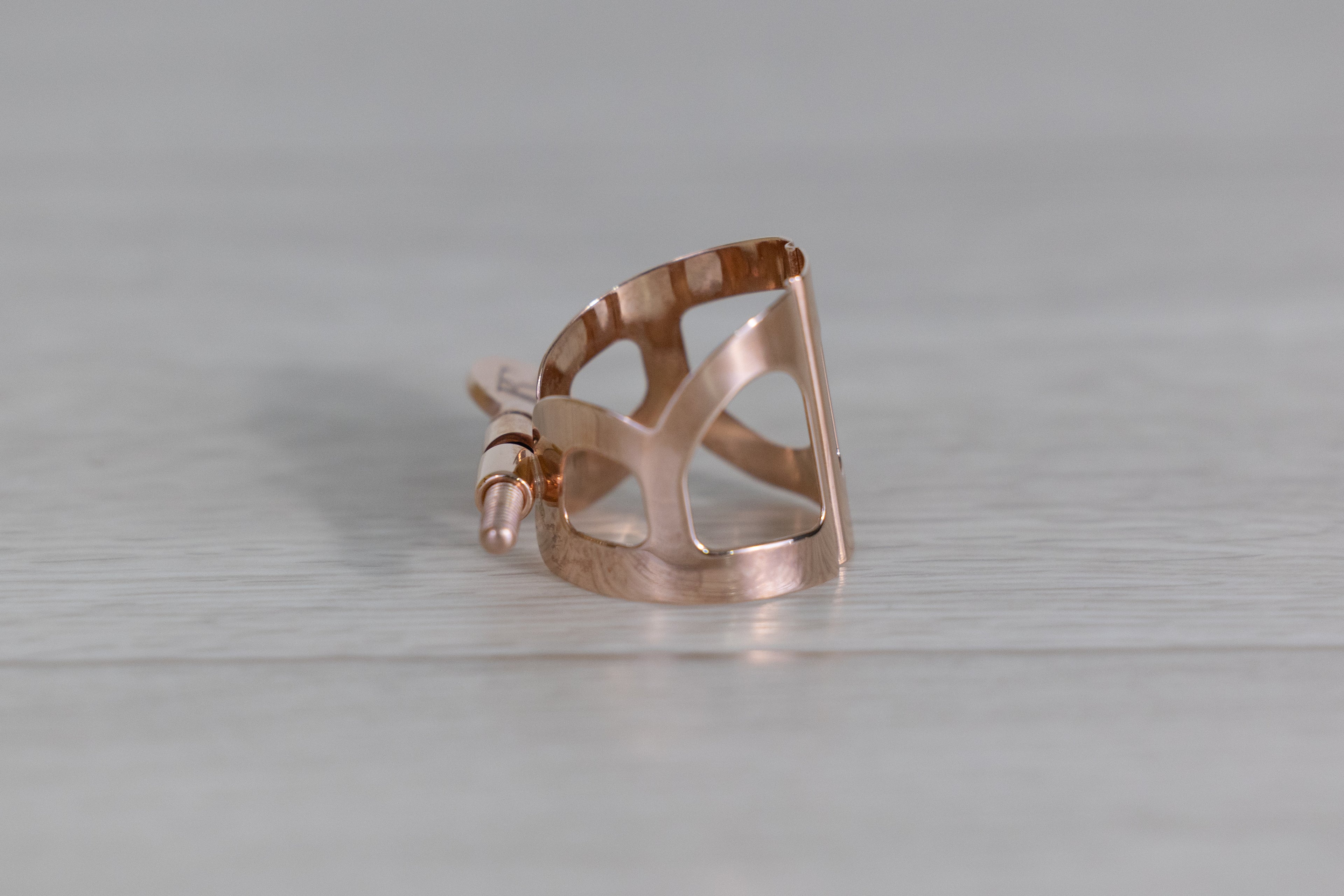 BG Tradition PGP 新品級 アルト用