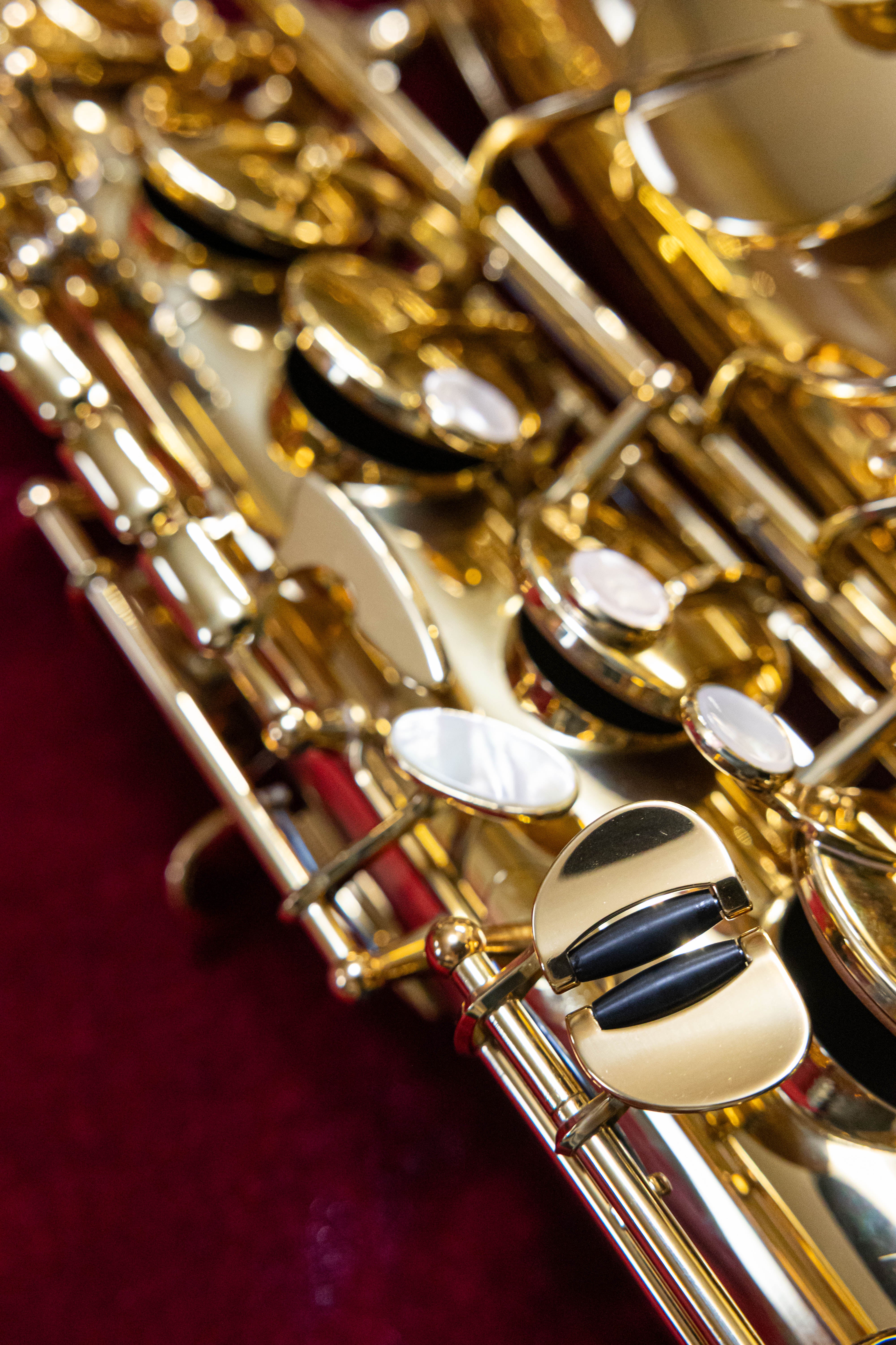 中古 Yanagisawa T-WO10 テナーサックス 使用感少なめの極上