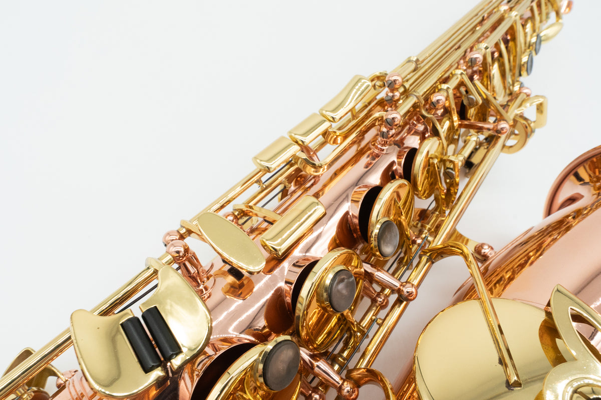 Buffet Crampon SENZO アルトサックス 美品 全タンポ交換・調整済み
