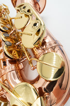 Buffet Crampon SENZO アルトサックス 美品 全タンポ交換・調整済み
